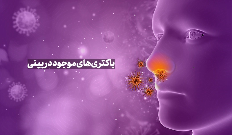 باکتری های بینی